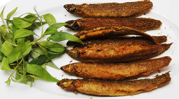 Thịt cá trạch tăng cường sinh lý nam