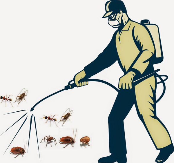 Hóa chất diệt sâu bọ, côn trùng gây hại cho tinh trùng