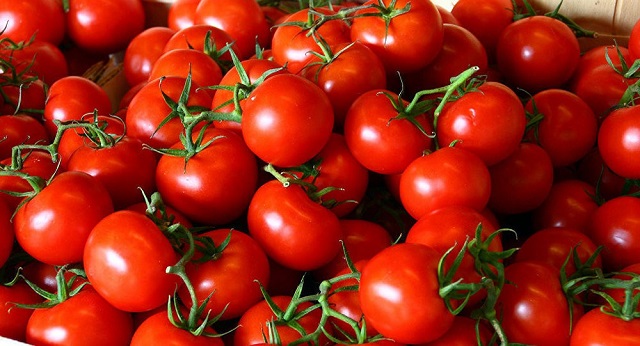 Ăn cà chua mỗi ngày giúp chống tia UV